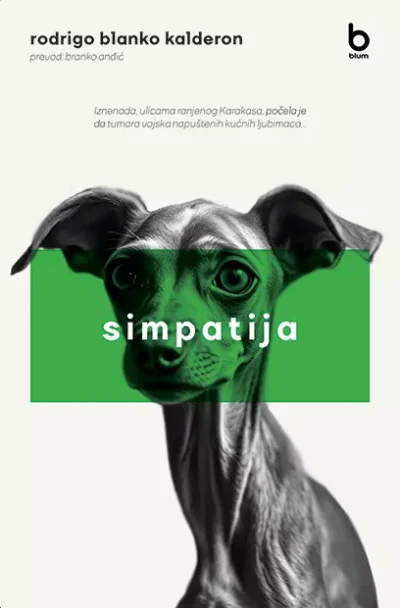 rodrigo blanko kalderon - simpatija